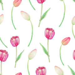 Obraz premium Watercolor pattern with pink tulips on a white background. Fresh spring print with delicate tulips for textiles and paper.