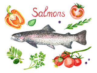 Raw salmon steelhead with vegetables and culinary herbs,  hand painted watercolor illustration design element with inscription