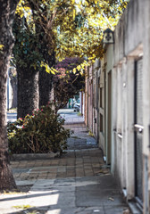 Fototapeta na wymiar Quiet sidewalk in Buenos Aires