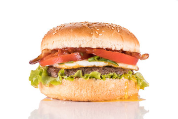  big and tasty burger for restaurant menu5