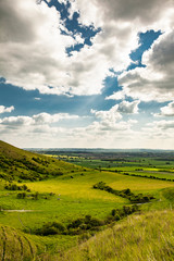 Obraz premium green fields