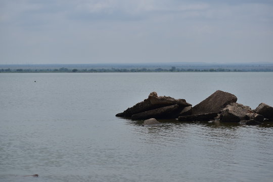 Its Chambal River And See Natures Beauty