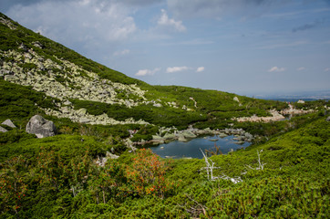 Górski staw © Wojciech