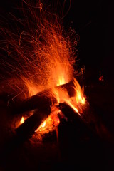Bush campfire