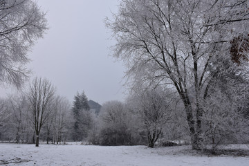 The city park is under snow. Romantic atmosphere