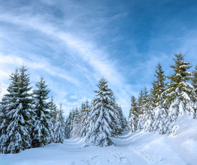 Snowy path during winter in the mountains with nice sky, Czech Republic