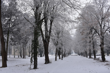 Winter landscape in the park. Everything is covered with snow and without people