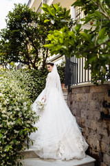 Beautiful dark haired bride in beautiful dress in the garden