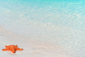 Fototapeta na wymiar Tropical white sand with red starfish in clear water
