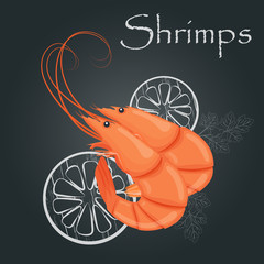 Boiled shrimps. Cooked tiger prawn. Shrimps on dark background. Sea food nutrition concept. Vector illustration.