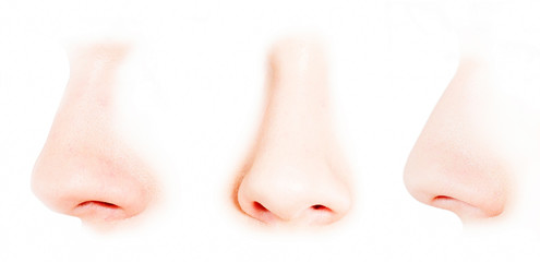 female perfect nose shape from different angles - obrazy, fototapety, plakaty