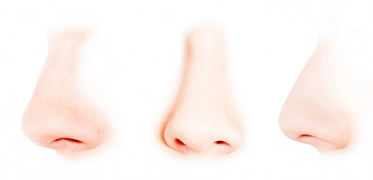 female perfect nose shape from different angles