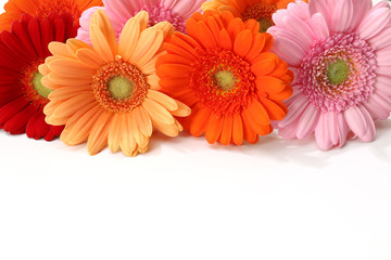 ガーベラの花束