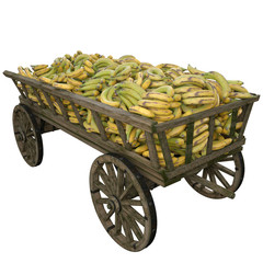 Harvested bananas harvested in a wooden cart