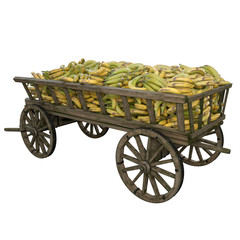 Harvested bananas harvested in a wooden cart