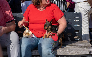 Small dog on its owners hands. Woman eating fast food seating on the bench.