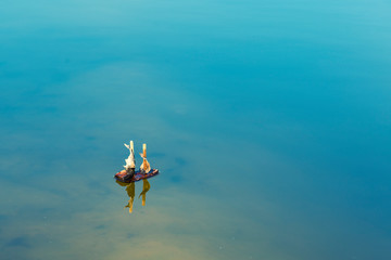 toy wooden boat in the lake. Boat made of bark and leaves