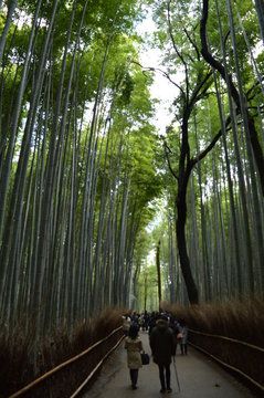 Kyoto, Japan