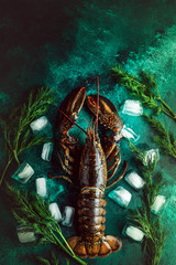 Lobster on a green background with ice and dill