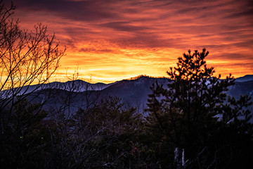 dramatic orange mountain sunrise with silhoette of trees in foreground