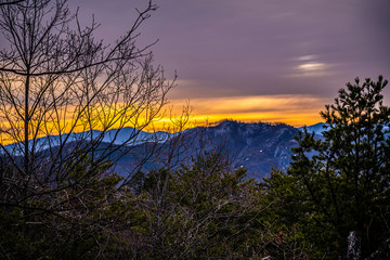 orange sunrise in the mountains with tree branches in the foreground