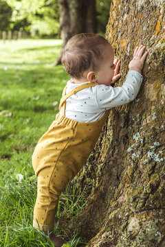 Baby Hugging Tree