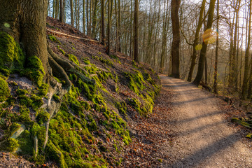 Hamburg, Germany. Forest and hiking trails near river Alster (German: Alstertal) in the spring.
