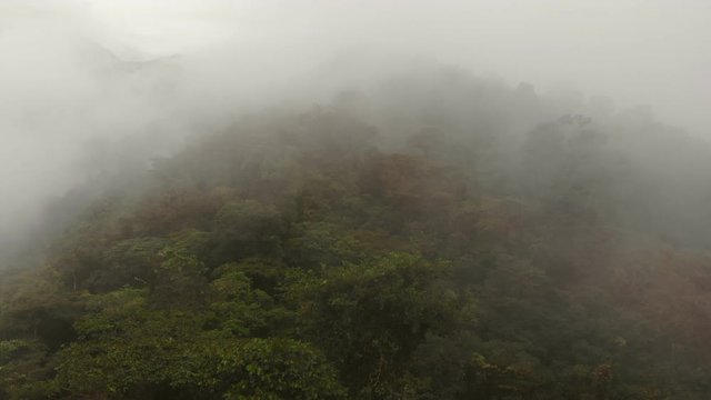 Aerial shot rising into the mist (neblina) above montane rainforest in the Rio Quijos Valley in the Ecuadorian Amazon.