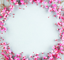 purple flowers on a blue background top view