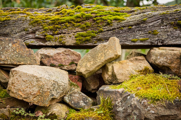 Fototapeta na wymiar Old wood, rock and moss in Asturias