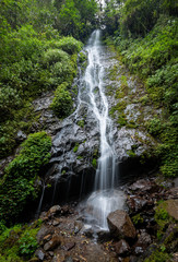 Naklejka premium Landscape photography of a waterfall in the cloud forest.
