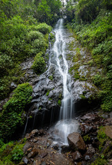 Landscape photography of a waterfall in the cloud forest.