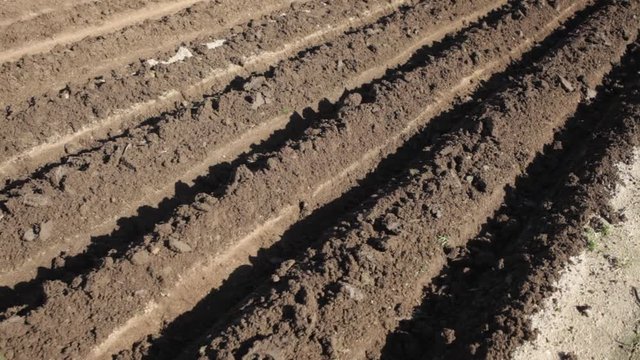 Plowed field with garden-beds in the spring