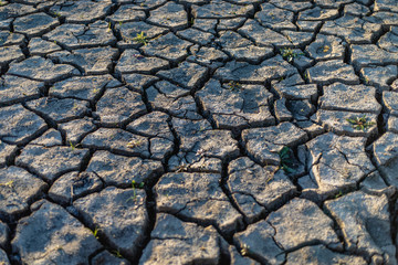 dry ground texture