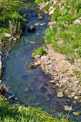 part of the creek