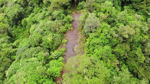Flying over a dirt road leading into montane rainforest. New roads bring  colonists, cattle ranchers into the rainforest. In the Rio Quijos Valley, the Ecuadorian Amazon.