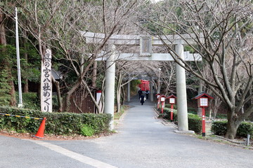 宮地嶽神社の奥の宮参道