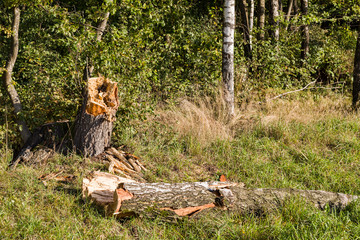 harvesting and storage