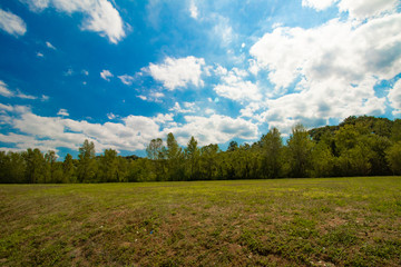 Fototapeta premium summer landscape with blue sky