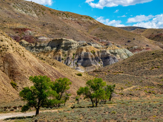 back country wyoming