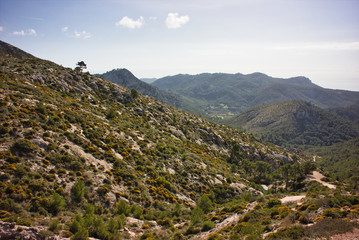 Fototapeta na wymiar landscape of mountains of mallorca in spain