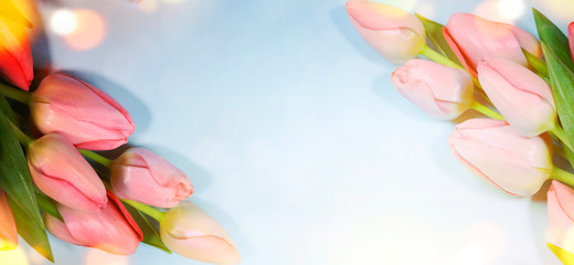 Spring flowers. Tulip bouquet on the wooden background.