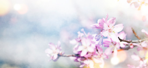Background with spring flowers