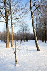 white fresh snow