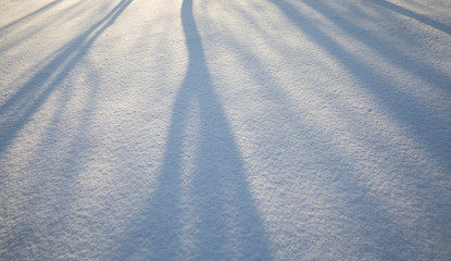 shadows on snow