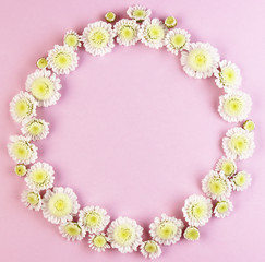 Obraz na płótnie Canvas white chamomile flowers on a pink pastel background top view.