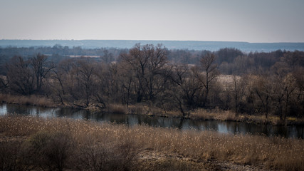 A quiet river in a green rural area. Beautiful landscape with a river with calm water, located next to a spring forest in nature