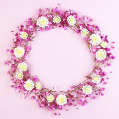 purple flowers on a pink background top view.