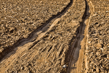 track on the field