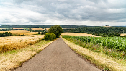 Agricultural fields